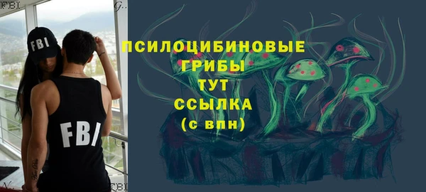 спиды Богородск
