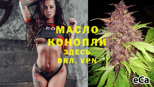 спиды Богородск