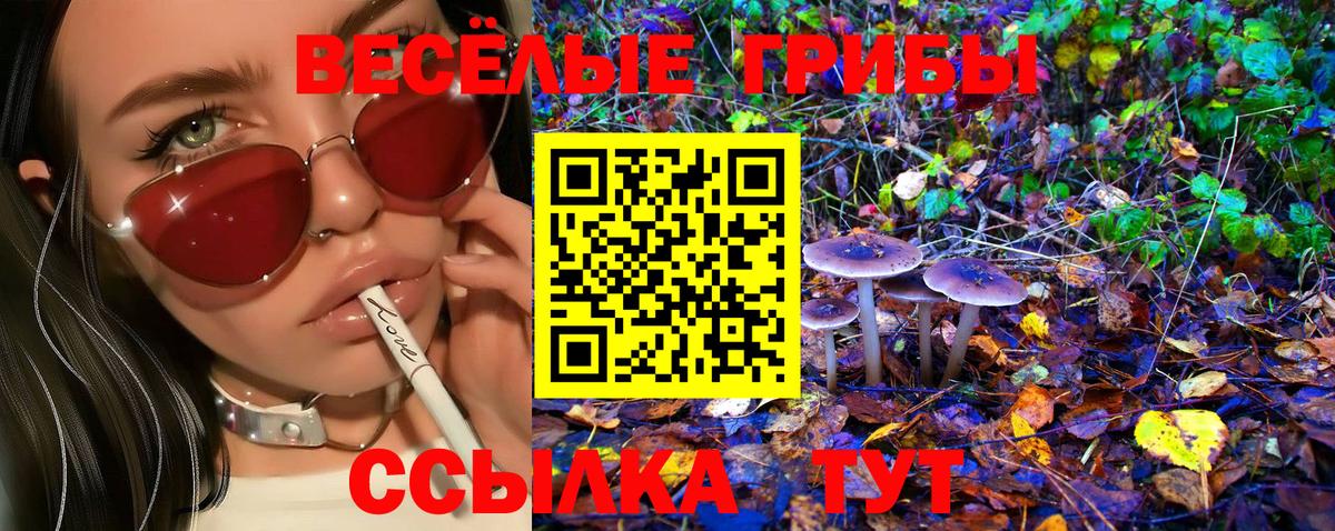 Псилоцибиновые грибы ЛСД Вязьма